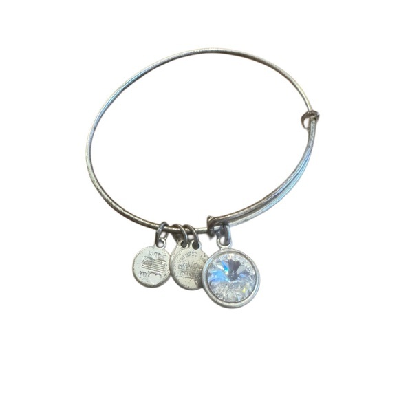Alex and Ani Jewelry - Alex and Ani Silver Charm Bangle with Crystal